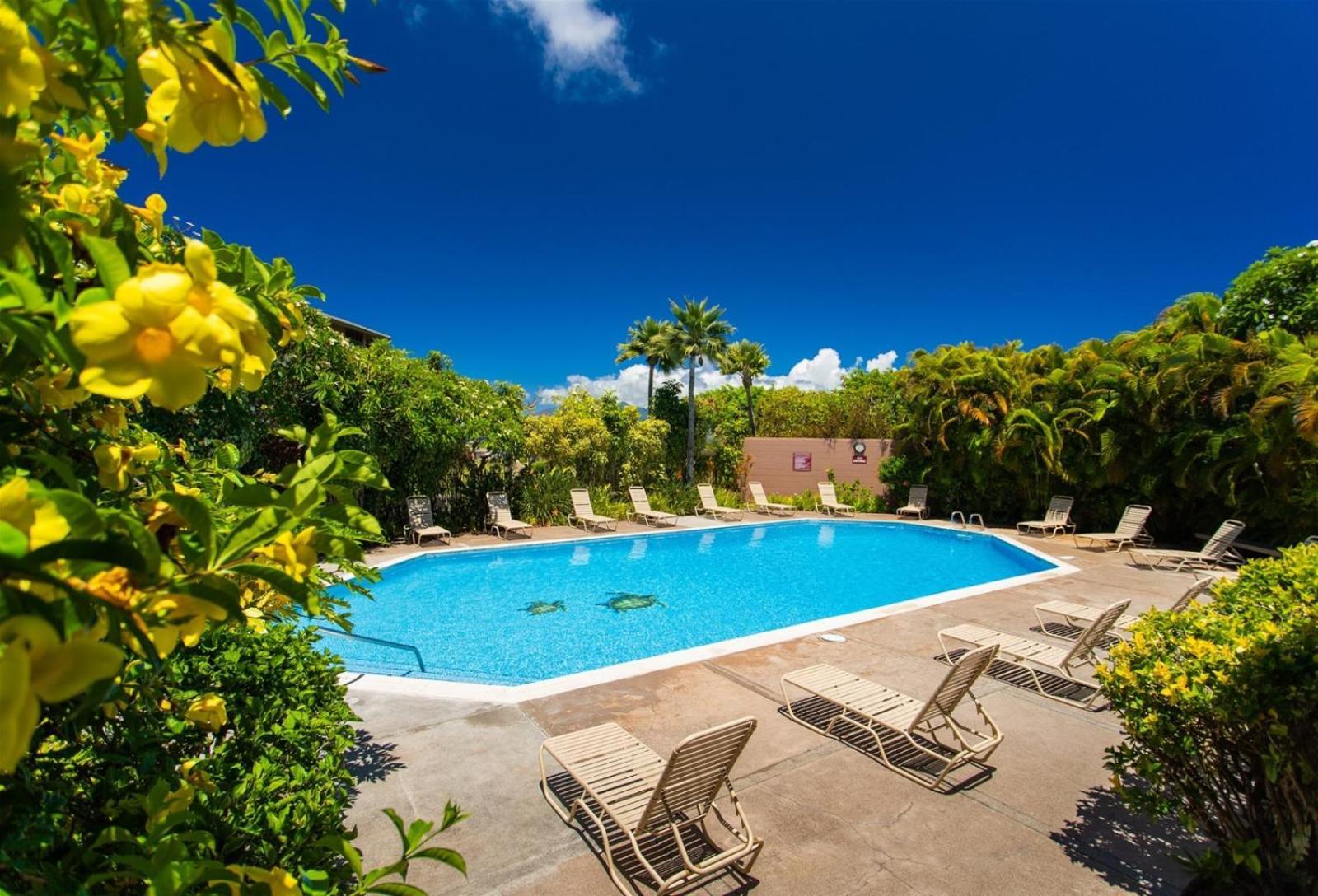 2915 Kapalua Ridge Appartement Kahana Buitenkant foto